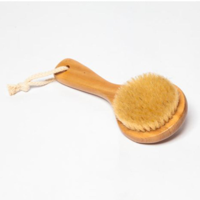 Round Natural Body Dry Brush